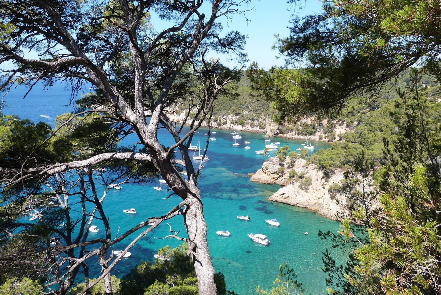 Appartement Coup De Coeur Centre Village Et Plage Climatise 3 Etoiles Terra Cigala Bandol Eksteriør bilde